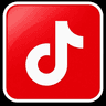 TikTok icon